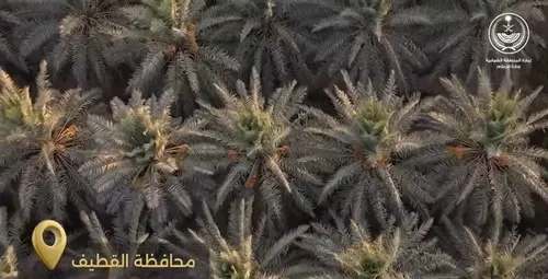 إمارة الشرقية تنشر فيديو مشاريع “الاستدامة” في القطيف