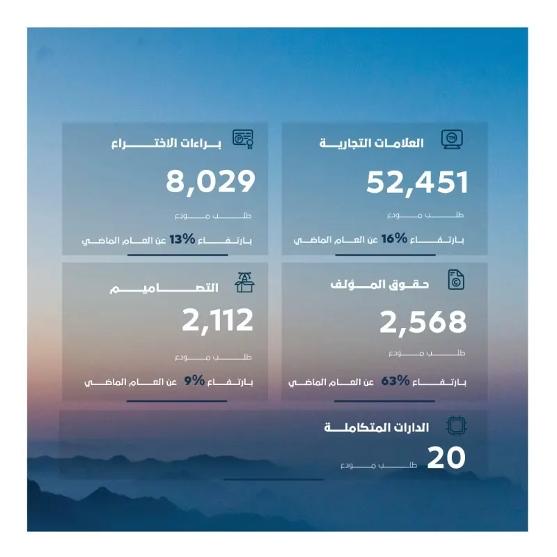 الملكية الفكرية: ضبط 3.6 ملايين مادة منتهكة خلال 2024