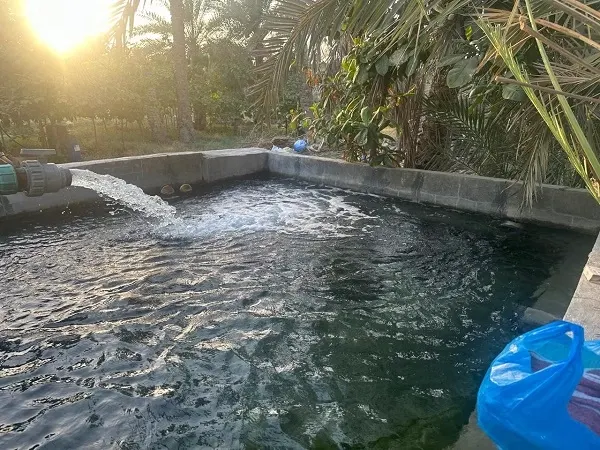 توازي