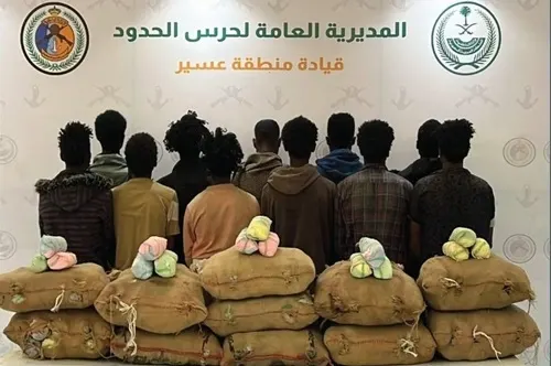 24 مروجًا ومهربًا.. حصيلة 24 ساعة من الحرب على المخدرات