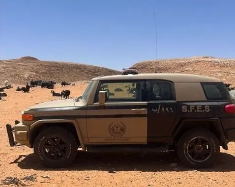 الرياض.. ضبط راعي أغنام في محمية الإمام تركي