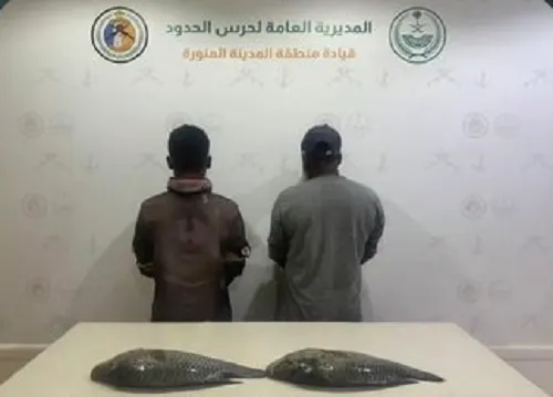 ضبط بنجلاديشيين اصطادا أسماكاً دون تصريح