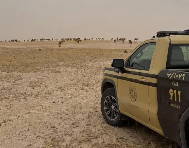 الرياض.. ضبط راعي إبل في محمية ملكية