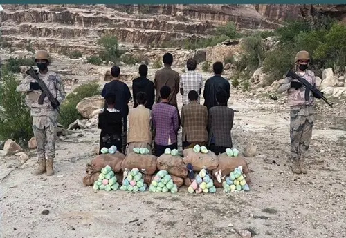 سقوط 19 مروجًا ومهربًا في يوم واحد