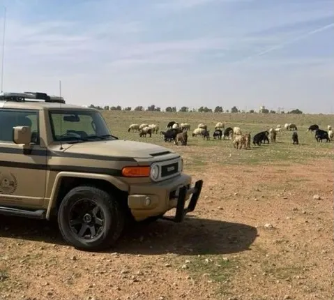 الرياض.. ضبط راعي أغنام في محمية ملكية