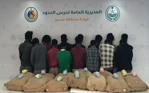 26 مروجًا ومهربًا حصيلة 24 ساعة من حرب المخدرات