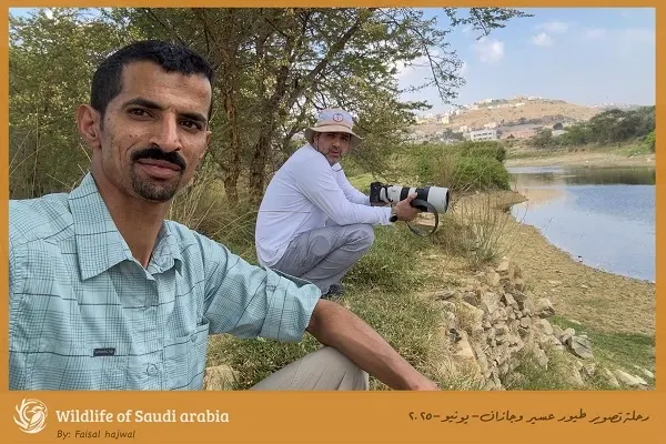 فيصل هجول يعود من الجنوب بغنيمة 100 نوع من الطيور