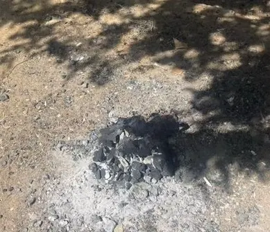 ضبط تاجر حطب في الرياض ومشعل نار في متنزه بأبها