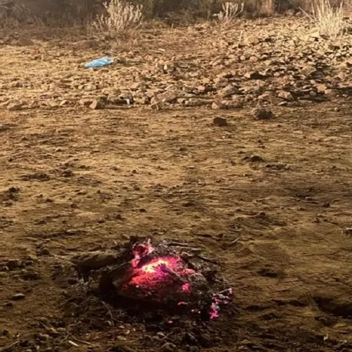 في عسير والرياض.. ضبط مشعل نار وراعي أغنام في محمية