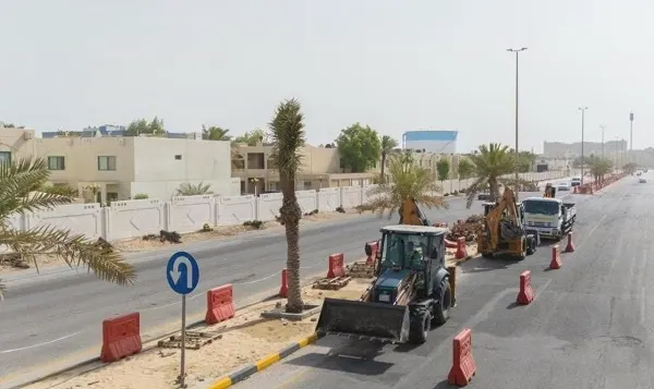 الخبر.. استبدال النخيل بأكثر من 10 آلاف شجرة ظل