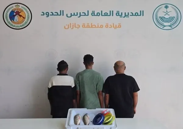 جازان.. ضبط يمني ومواطنين اصطادوا أسماكاً دون تصريح