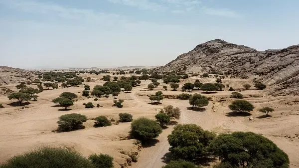 “الدرون” يشارك في تأهيل أكثر من 500 ألف هكتار أراضي متدهورة