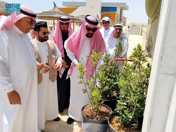 اليوم الدولي لغابات المنغروف في “بيئة القطيف”