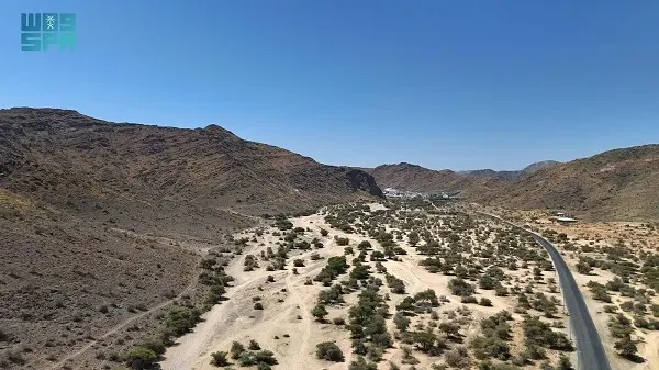 الوهط والوهيط