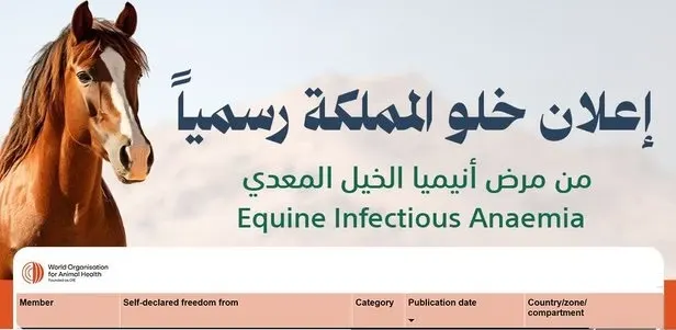 المملكة خالية من أنيميا الخيل المعدي
