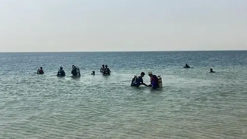 تنظيف قاع شاطئ نصف القمر غوصاً