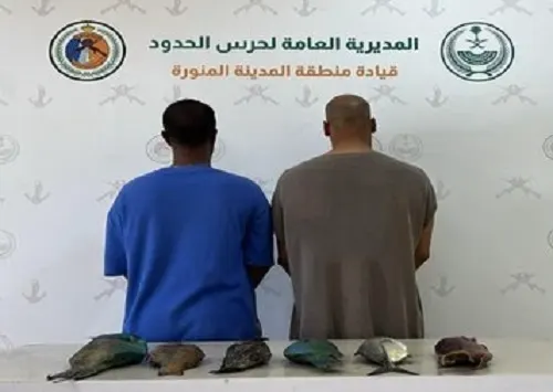 ينبع.. ضبط مواطنين اصطادا أسماكاً دون تصريح