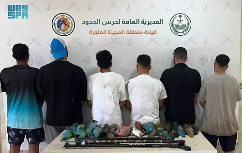 المدينة.. ضبط 6 مواطنين اصطادوا أسماكاً دون تصريح