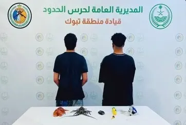 تبوك.. ضبط مواطنين اصطادا أسماكاً دون تصريح
