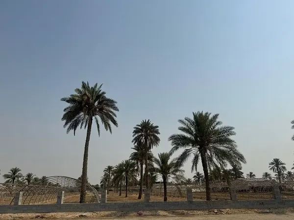 الدمام تتسيد الحرارة في الشرقية.. 46 درجة