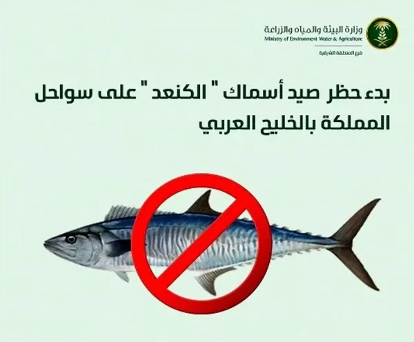 بعد غد.. حظر صيد أسماك الكنعد بالشباك الخيشومية