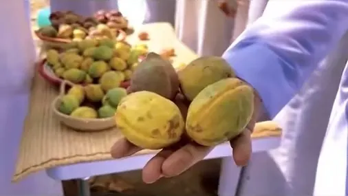الأصمخ ومكتب “الزراعة” يستطلعون “قضوب” اللوز في القطيف