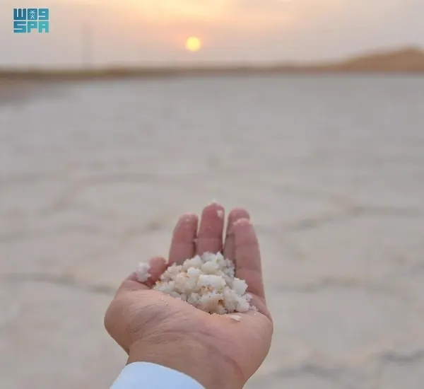 بحيرات الملح الطبيعي