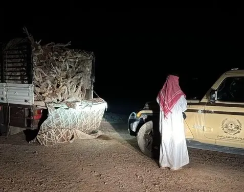 ضبط تاجر حطب في المدينة