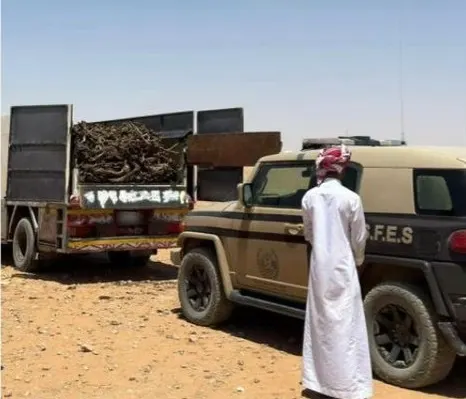 في الرياض والمدينة.. ضبط تاجر حطب وملوث التربة بالخرسانة