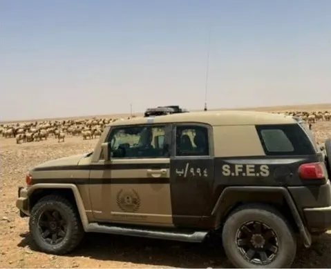 الرياض.. ضبط راعي أغنام في محمية ملكية