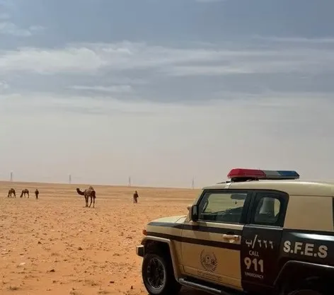 الرياض.. ضبط راعي إبل في محمية ملكية