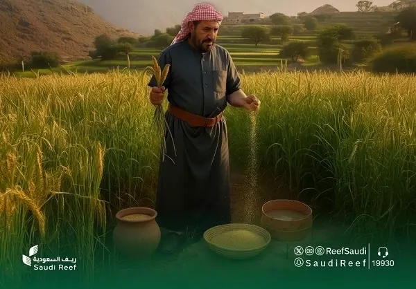 “ريف السعودية” يحتفي بقصة نجاح محمد الأسمري في زراعة الدخن