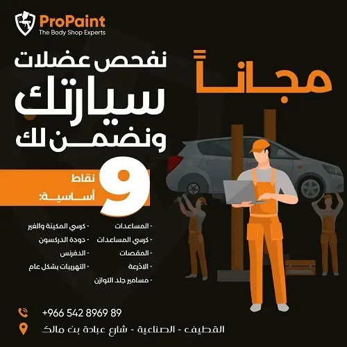 ProPaint.. جودة نعتز فيها