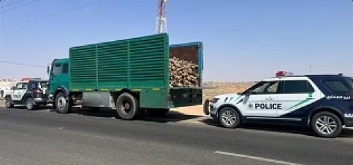 أمن الطرق يرصد حطبًا محليًا في القصيم