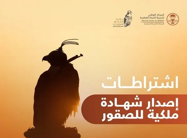 4 شروط لتوثيق الصقور