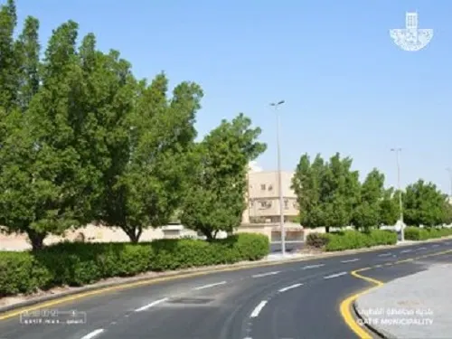 القطيف.. الانتهاء من تطوير شارع التوفيق بطول 450 متراً