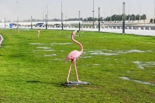 شاطئ المرجان في نصف القمر.. وجهة سياحية تجمع بين الجمال والترفيه
