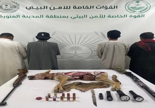 تشهير.. صائدوا “ذئب عربي” في قبضة الأمن البيئي