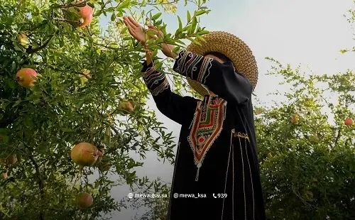 أسبوع الرمان السعودي يحتفل بمليون و400 ألف شجرة