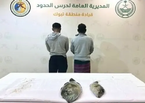 تبوك.. ضبط مقيمين اصطادا أسماكاً دون تصريح