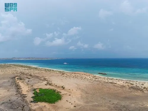 “عيش الطبيعة”.. بدء موسم التخييم في محميات الحياة الفطرية