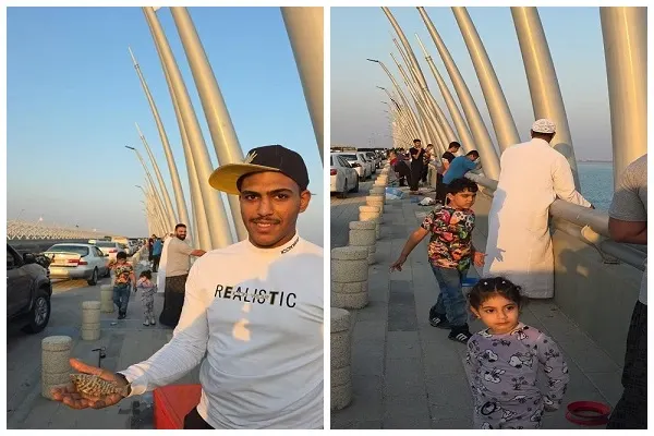 بعد الافتتاح.. الشباب يحولون جسر صفوى راس تنورة إلى منصة صيد