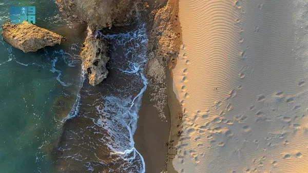 الهرابة