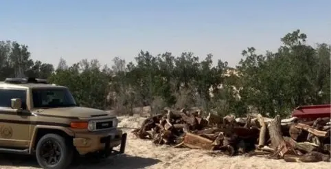 القبض على تاجر حطب محلي في الشرقية
