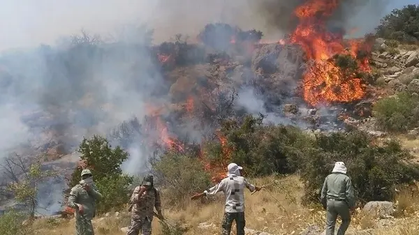 إيران تخسر غابات عمرها 50 مليون سنة ومسجلة في اليونسكو