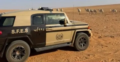 غرامات البيئة تطال 4 مخالفين في الرياض وعسير والمدينة