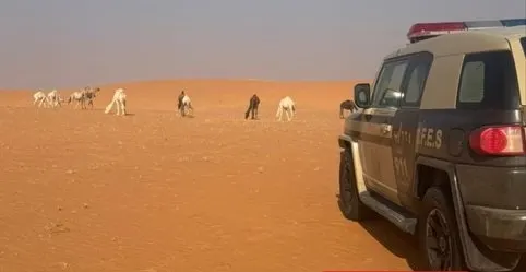 في الرياض والمدينة.. غرامات البيئة تطال مخالفين
