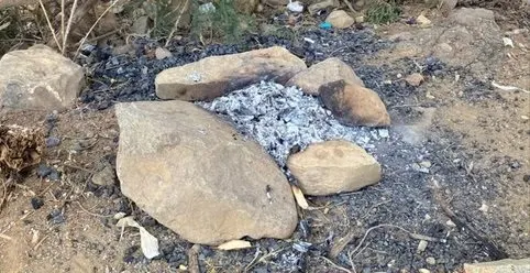 الرياض.. غرامات البيئة تطال مخالفين