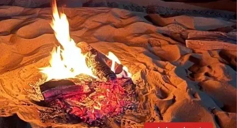 الشرقية.. ضبط متنزه أشعل “شبة نار” في الغطاء النباتي