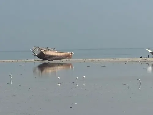 صباح القطيف